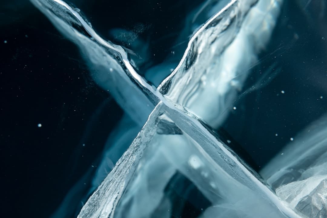 《星期三》第二季发布宣传照 哥特宗族全家福